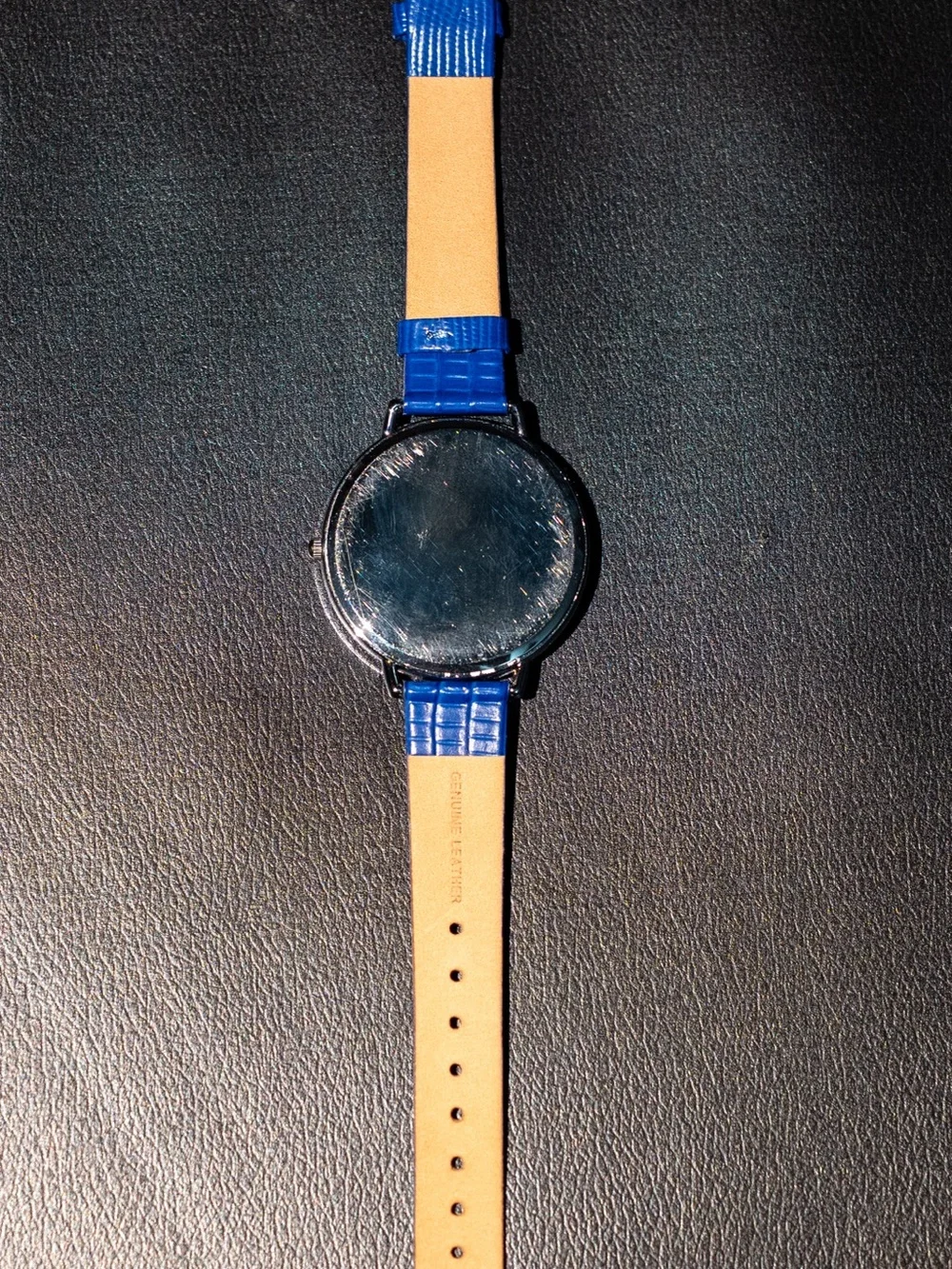 Teddy Fresh playful analog